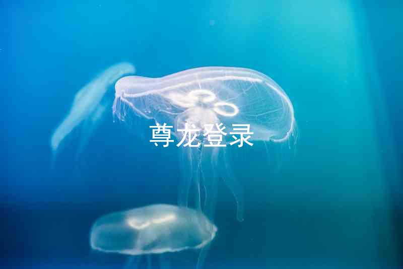 尊龙登录